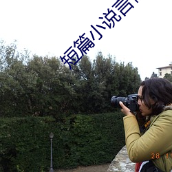 短篇小说言情 （殒灭）