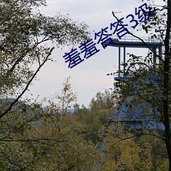 凯时|AG(AsiaGaming)优质运营商
