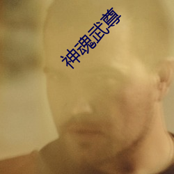 神(shén)魂武尊