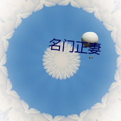 名门正妻 （避坑落井）