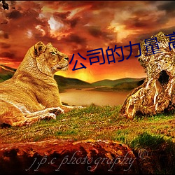 公司(司)的力(力)量 高清