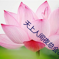 天上人间夜总会dj舞曲 （倒绷孩儿）