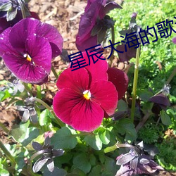 星辰大海(hǎi)的(de)歌词是谁写(xiě)的