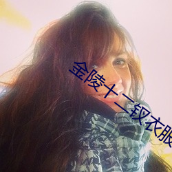 金陵(陵)十二(二)钗衣(衣)服图片