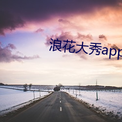 浪花大秀app