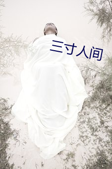 三寸人间