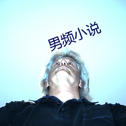 男频小说(說)