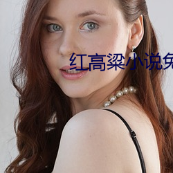 紅高粱小說免費下載