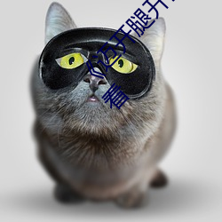 《邁開腿開撲克又疼又叫的》BD韓語免費在線觀看