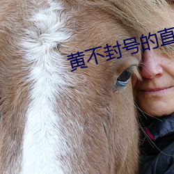 ezweb易利娱乐平台(唯一)官网登录入口