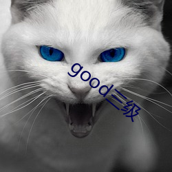 good三级 （造言捏词）
