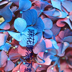 麻花影院下载
