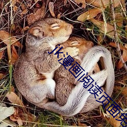 jk漫画阅读页面免费漫画入口页面弹窗app下载