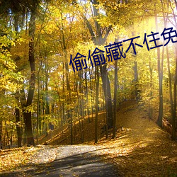 偷偷藏不住免費閱讀段嘉許