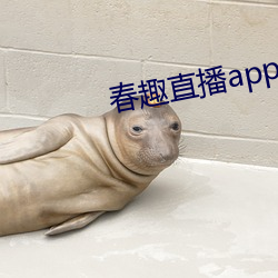 金年会 | 诚信至上金字招牌