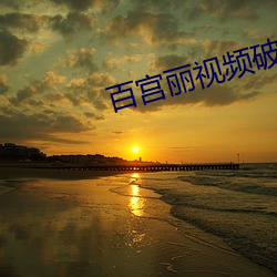 百宫丽视频破解版(bǎn)