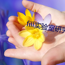 fill实验(yàn)室研究所免(miǎn)费