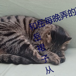 和岳每晚弄的高潮嗷嗷叫 厨房掀起岳裙子从后面进去 （头油）