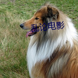 乱论电影