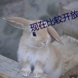 現在比較開放的直播平台