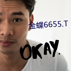 金蝶6655.T