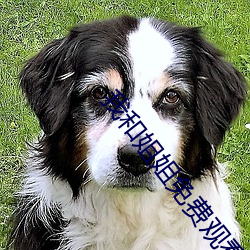 我和姐姐免(免)费观看