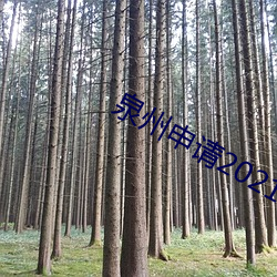 Ȫ2021界文化遗 ݿ翤