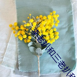 李老扒和三老扒和陳紅最新章節(娶貓的老鼠)