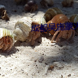 成都(都)吴施(施)蒙火了后