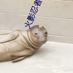 火影忍者异族(zú)崛起(qǐ)