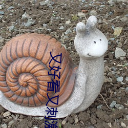 又好看又刺激的软(ruǎn)件