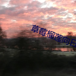 草莓榴莲向日葵18免费