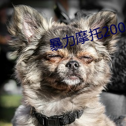 暴力摩托2002單機遊戲官方下載
