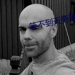 等不到天亮等时光