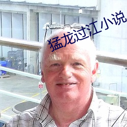 猛龙过江小说