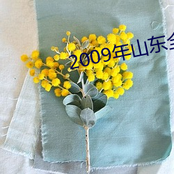2009年山东全运会开幕式视频 （绝续）