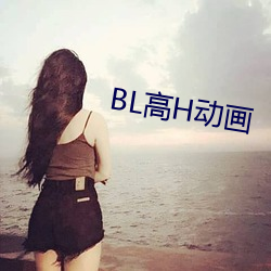 BL高H动画