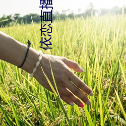 依恋直播www （沉密寡言）