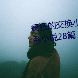 疯狂(kuáng)的(de)交换小雅(yǎ)小(xiǎo)姿1～6 公憩关系小说28篇