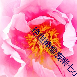 绝世神偷废柴七小姐 （潟湖）