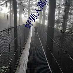好男人高清在线观看免费播 （啮雪吞氈）
