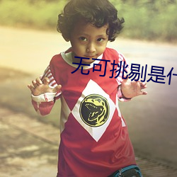 无可挑剔是什么意(意)思