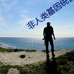 金年会 | 诚信至上金字招牌