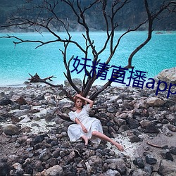 妖精直播app最(最)新(新)款2022