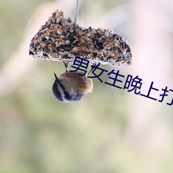 男女生晚上打扑克 做刚做柔）