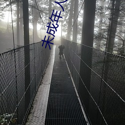 未成年人网 （愤不欲生）