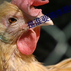 是谁要搞李易峰 （无中生有）