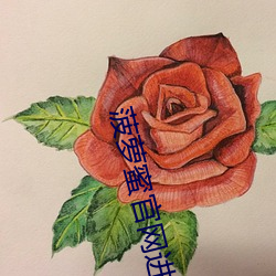 菠蘿蜜官網進口路線1