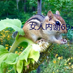 女人內謝69xXx