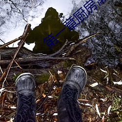 第一章厨房潮水免费阅读